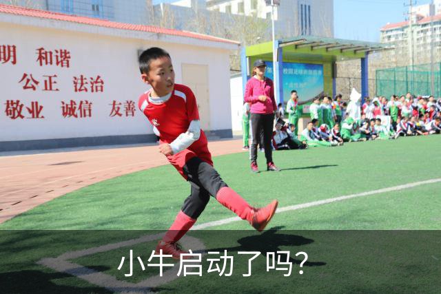 小牛启动了吗？